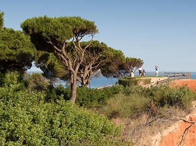 Pine Cliffs Golf Country Club Algarve