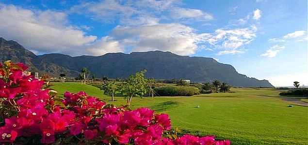 Buenavista Golf rote Blumen