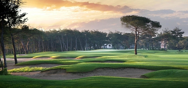 Belek Türkei - Montgomerie Maxx Royal Golf Club Green